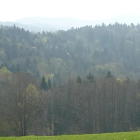 Ferienhaus Mit Gemutlicher Einrichtung * Freyung